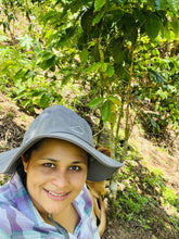 Honduras Galeas Family Women's Lot - 2025 Edition | Direct Source (Light Roast)