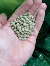 Raw coffee beans