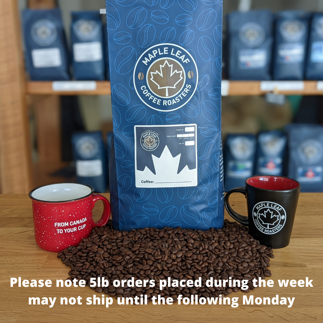 Toronto Blend (Medium Roast)